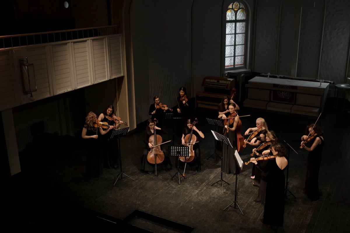 Cello boog op houten vloer