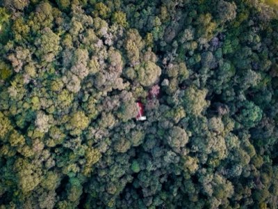 Ghibli Ocultos: Analizando Obras Maestras Técnicas y Temáticas