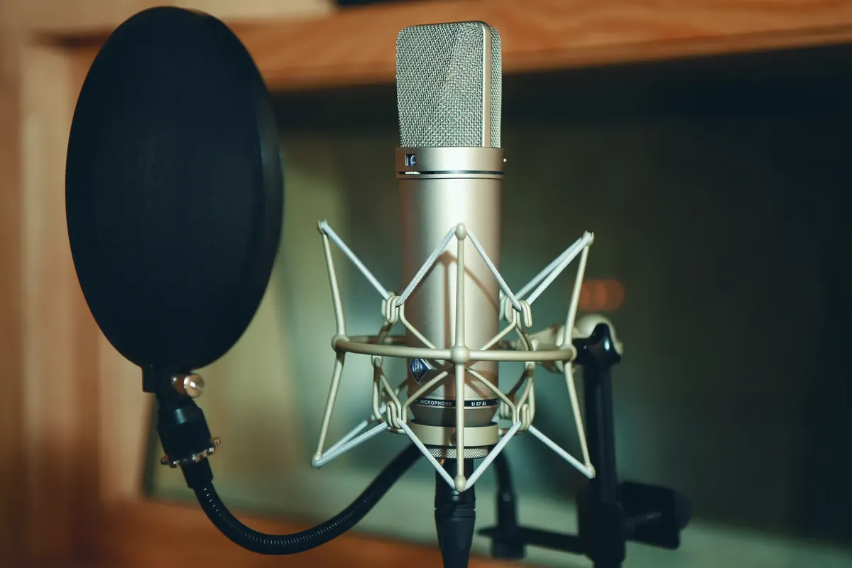 Close-up of a studio microphone with pop filter, perfect for recording.